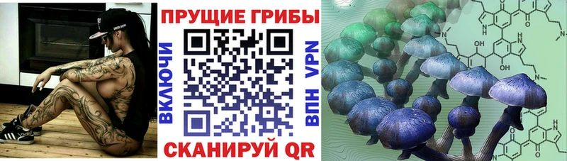 Галлюциногенные грибы GOLDEN TEACHER  хочу   Ялта 
